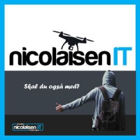 nicolaisen IT Logo
