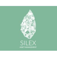 Silex Real Estate Logo