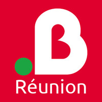 Mr.Bricolage Réunion Logo