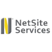 NetSite Services Logo