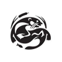 The Wild Center Logo