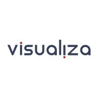 Visualiza Logo