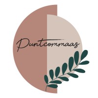 Puntcommaas I Communicatiestrategie I Teksten I Social Media Logo