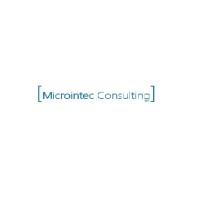 Microintec Consulting Logo