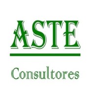 ASTE CONSULTORES, S.L. Logo