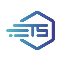 Teamcat Solutions Logo