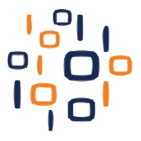 Viz Your Data Logo