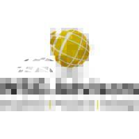 WSG Advisors Logo