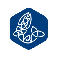 Fintan Academy - Escola de Negócios Logo
