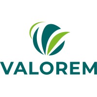 VALOREM Logo