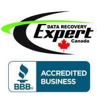Data Recovery Expert Logo