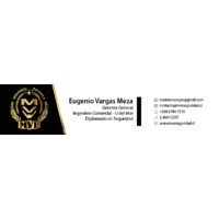 MVE SEGURIDAD PRIVADA SPA Logo