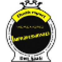 Theatersportvereniging Improfessioneel Logo