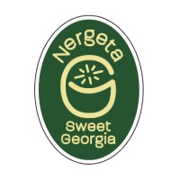 Nergeta Logo