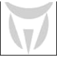 Topnotch Placements Logo