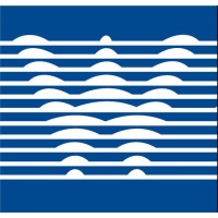 Wolspin - Conscious Business Logo