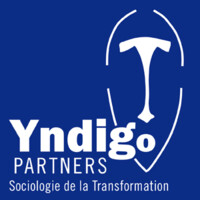 Yndigo Partners Logo