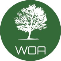 Willow Oak Advisory Logo