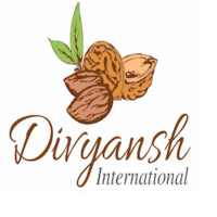 Divyansh International Logo