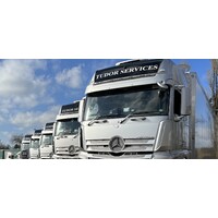 Tudor Services Limited Logo