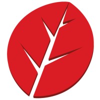 OBois Entreprise dentrainement Logo
