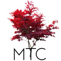 Maple Tree Capital Logo