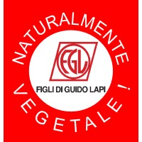 FIGLI DI GUIDO LAPI S.P.A. Logo
