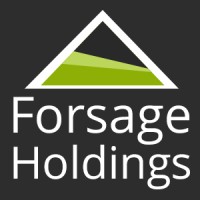 Forsage Holdings Logo