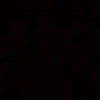 Nelson Associates Logo