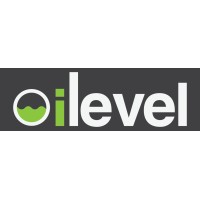 iLevel Ltd Logo
