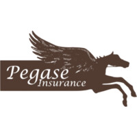 Pegase Insurance Logo