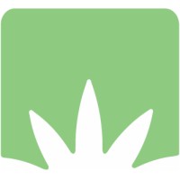 HealthMJ Logo