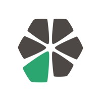 Dealer Systems Logo