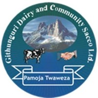 Githunguri Dairy and Community Sacco Limited Logo