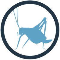 Blue Cricket Media Logo