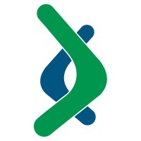 Boomerang Exhibits Logo