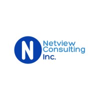 Netview Consulting Inc Logo