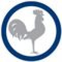 Rooster Media Logo