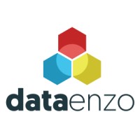 DataEnzo Logo