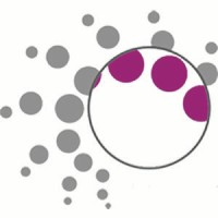 Iran Nano Product - محصولات فناوری نانو ایران Logo