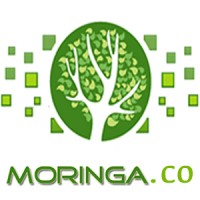 Moringa.co Logo