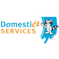 Domestic Services (Belgium) - Aide-ménagères avec Titres-Services Logo