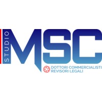 STUDIO MSC STPRL Logo