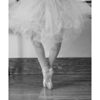 The Dance Emporium Logo