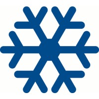 The International Glaciological Society Logo