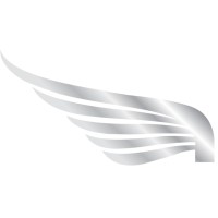 CEDAR WINGS L.L.C Logo