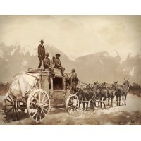 Pine Rim Publishing Logo