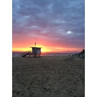 This Is My South Bay Logo