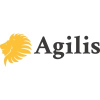 Agilis IT Business Solutions Logo
