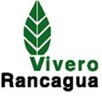 Vivero Rancagua Logo